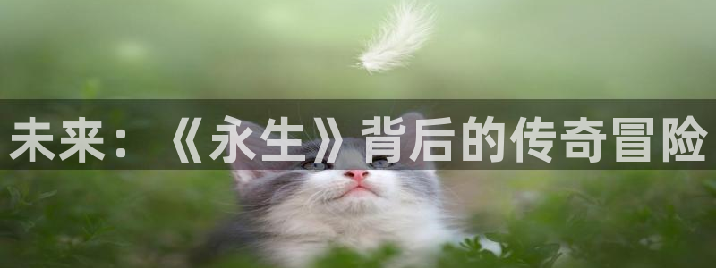 苏州pp电子网络科技有限公司：未来：《永生》背后的传奇冒险