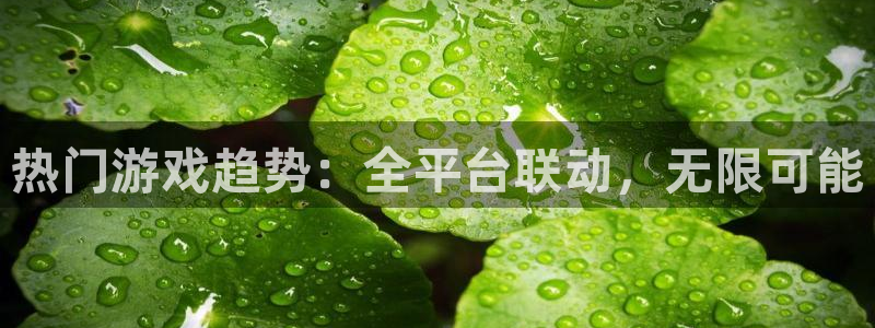pp电子电商怎么样知乎：热门游戏趋势：全平台联动，无限可能