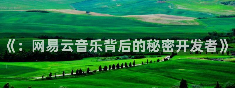 pp电子子公司怎么样