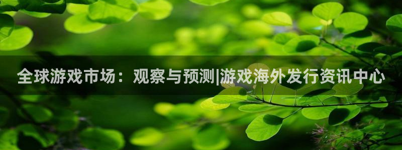 pp电子子怎么样：全球游戏市场：观察与预测|游戏海外发行资讯中心