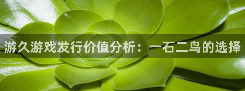 pp电子子文化是干什么的：游久游戏发行价值分析：一石二鸟的选择