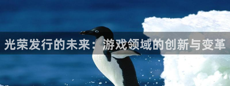 pp电子衣服怎么样