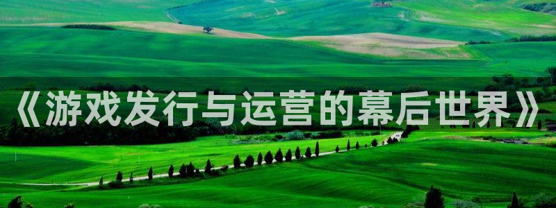 pp电子电商怎么样知乎：《游戏发行与运营的幕后世界》