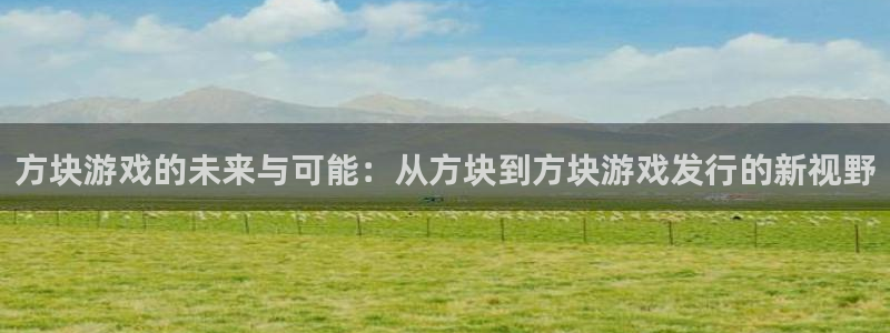 pp电子官网平台怎么样：方块游戏的未来与可能：从方块到方块游戏发行的新视野