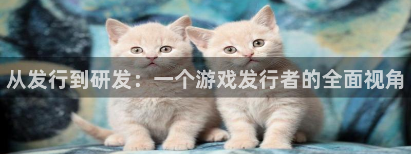 pp电子军团是哪个国家队：从发行到研发：一个游戏发行者的全面视角