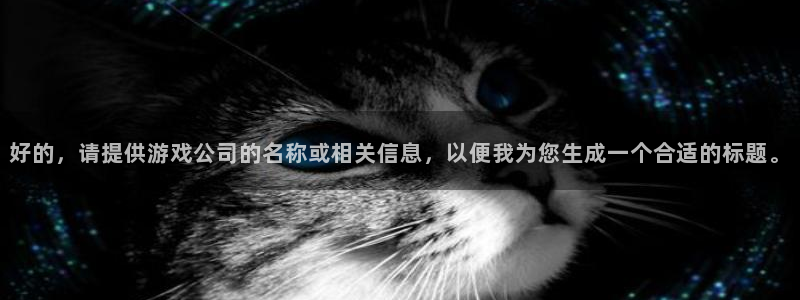 pp电子官网注册平台是什么：好的，请提供游戏公司的名称或相关信息，以便我为您生成一个合适的标题。