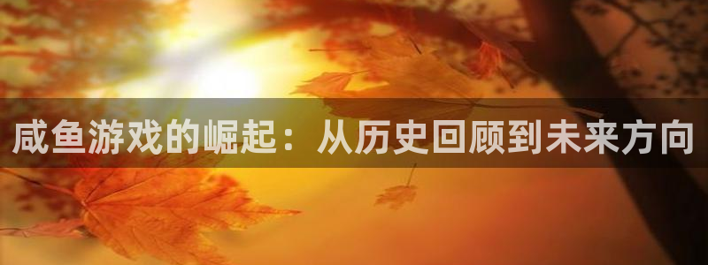 pp电子子文化是什么：咸鱼游戏的崛起：从历史回顾到未来方向