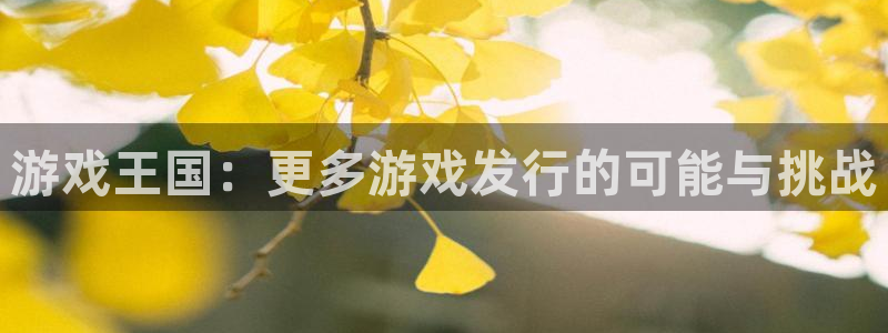 pp电子子文化创意有限公司特邀玩家