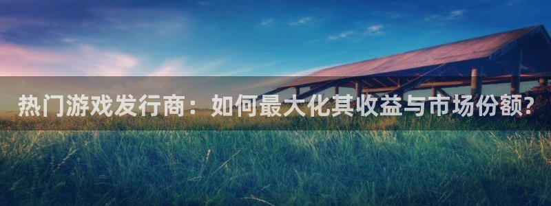 pp电子官网注册登录不了：热门游戏发行商：如何最大化其收益与市场份额?