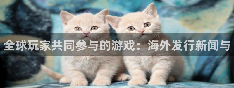 pp电子子的图片