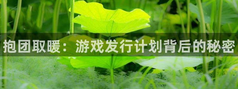 顺德pp电子电商