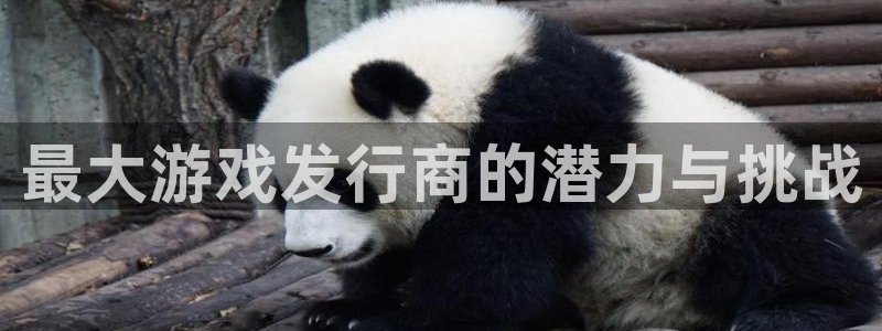 pp电子香烟图片