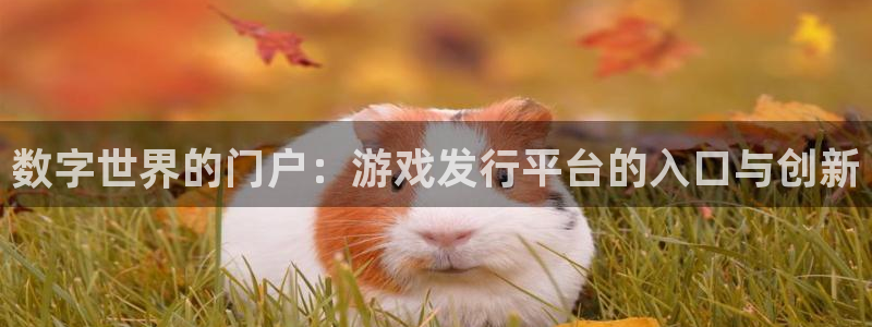 pp电子球队