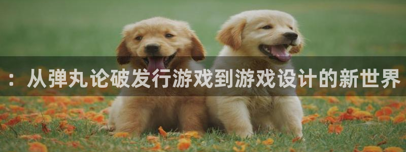 pp电子官网登录注册账号安全吗安全吗：：从弹丸论破发行游戏到游戏设计的新世界